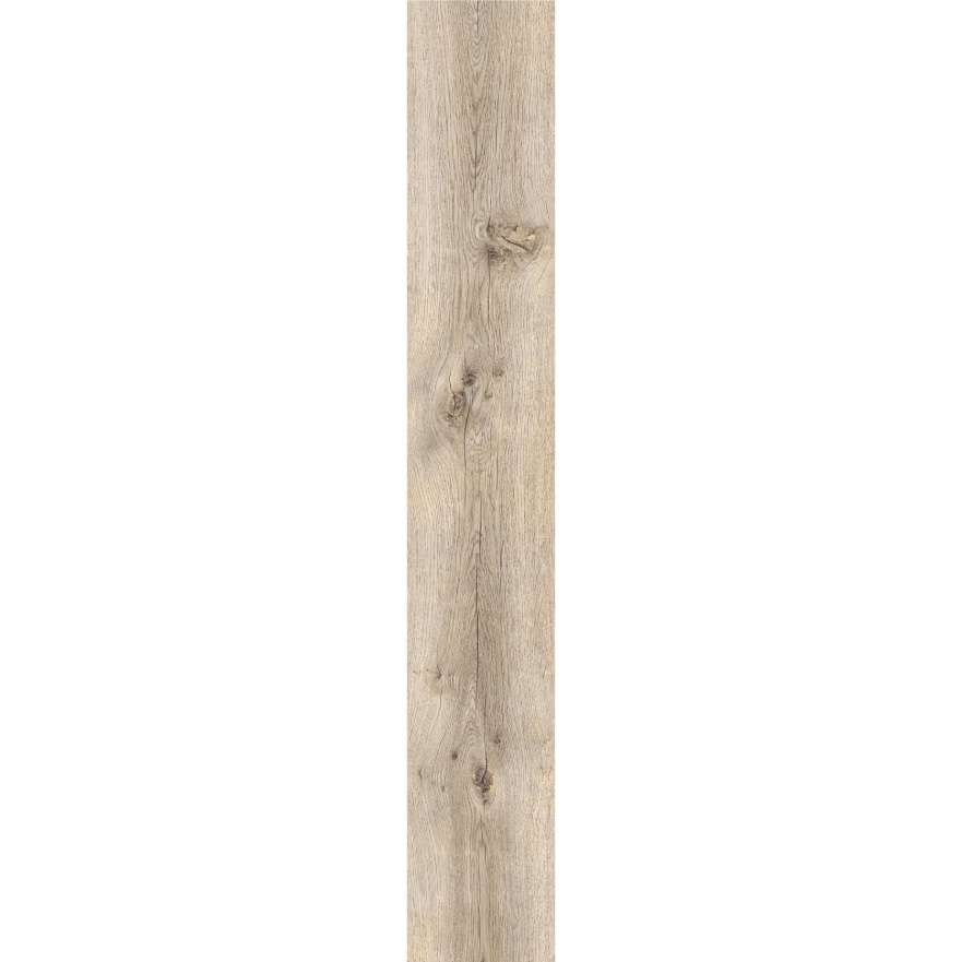 Major Oak 53926 – Divino click